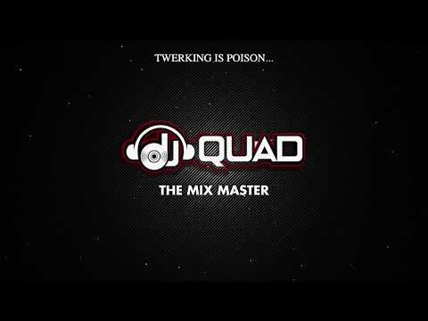 Cover art for Twerking is Poison in this house by DJ Quad the mixmaster